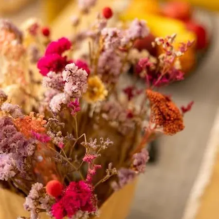 Paradiso 公寓 Kanálion