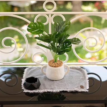 Paradiso Apartamento